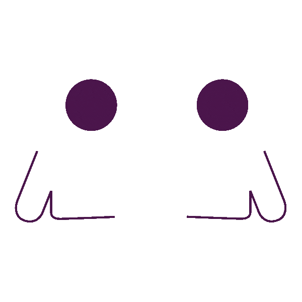 Icon 6