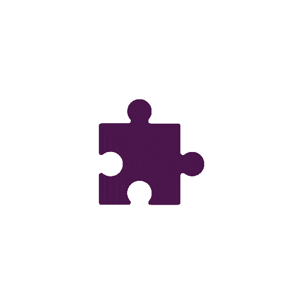 Cross Functional Icon
